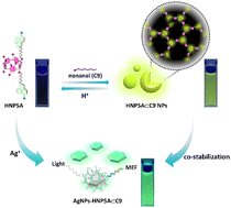 Graphical abstract: Supramolecular self-assembled polymeric nanospheres based on hydrazino naphthalimide functionalised pillar[5]arene for long chain aldehyde detection