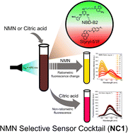 Graphical abstract: NMN sensor cocktail: selective sensing of nicotinamide mononucleotide over citric acid