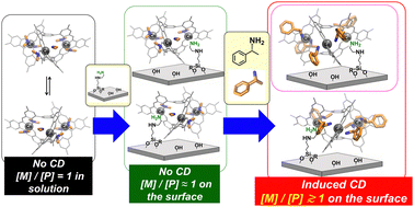 Graphical abstract: Induced chirality at the surface: fixation of a dynamic M/P invertible helical Co3 complex on SiO2