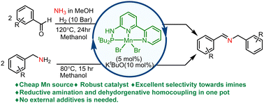 Graphical abstract: Efficient and chemoselective imine synthesis catalyzed by a well-defined PN3-manganese(ii) pincer system