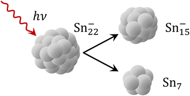 Graphical abstract: Delayed photodissociation of the tin cluster Sn22−