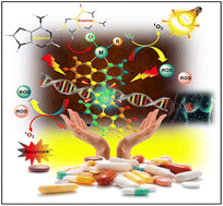 Graphical abstract: GSH resistant, luminescent 2-(pyren-1-yl)-1H-imidazo[4,5-f][1,10]phenanthroline-based Ru(ii)/Ir(iii)/Re(i) complexes for phototoxicity in triple-negative breast cancer cells