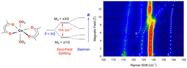 Graphical abstract: Spectroscopic techniques to probe magnetic anisotropy and spin–phonon coupling in metal complexes