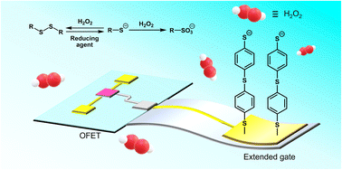 Graphical abstract: An organic transistor for detecting the oxidation of an organic sulfur compound at a solid–liquid interface and its chemical sensing applications