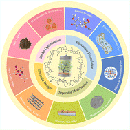 Graphical abstract: Renewable lignin and its macromolecule derivatives: an emerging platform toward sustainable electrochemical energy storage