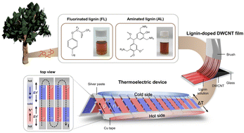 Graphical abstract: Eco-friendly conversion between n- and p-type carbon nanotubes based on rationally functionalized lignin biopolymers