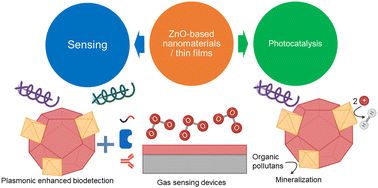 Graphical abstract: ZnO-based nanomaterials approach for photocatalytic and sensing applications: recent progress and trends