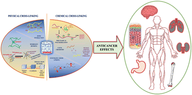 Graphical abstract: Natural cationic polymer-derived injectable hydrogels for targeted chemotherapy