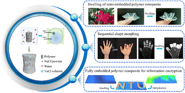 Graphical abstract: Bio-inspired facile strategy for programmable osmosis-driven shape-morphing elastomer composite structures