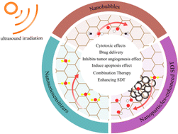 Graphical abstract: Nanotechnology-enabled sonodynamic therapy against malignant tumors