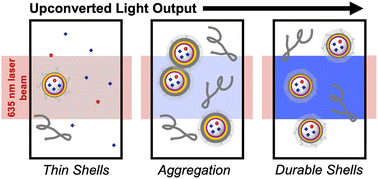 Graphical abstract: Controlling the durability and optical properties of triplet–triplet annihilation upconversion nanocapsules