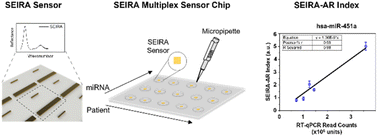 Graphical abstract: Label-free detection of MiRNA biomarkers using broadband multi-resonant infrared metasurfaces for early breast cancer diagnosis