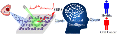 Graphical abstract: Early-stage oral cancer diagnosis by artificial intelligence-based SERS using Ag NWs@ZIF core–shell nanochains