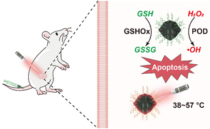 Graphical abstract: Bismuth nanoclusters on nitrogen-doped porous carbon nanoenzyme for cancer therapy