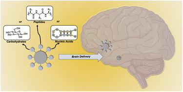 Graphical abstract: Biomacromolecule-tagged nanoscale constructs for crossing the blood–brain barrier