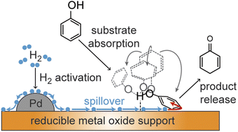 Graphical abstract: Hydrogen spillover and substrate–support hydrogen bonding mediate hydrogenation of phenol catalyzed by palladium on reducible metal oxides