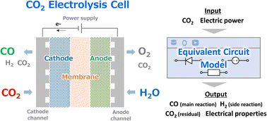 Graphical abstract: Equivalent circuit models for predicting electrical and gas output characteristics of CO2 electrolysis cells