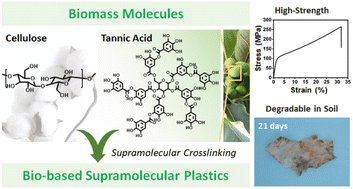 Graphical abstract: Highly tough, degradable, and water-resistant bio-based supramolecular plastics comprised of cellulose and tannic acid