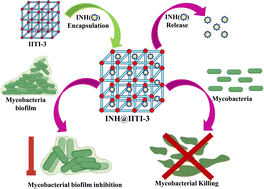 Graphical abstract: Exploring the antimicrobial potential of isoniazid loaded Cu-based metal–organic frameworks as a novel strategy for effective killing of Mycobacterium tuberculosis