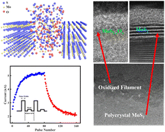 Graphical abstract: A high linearity and energy-efficient artificial synaptic device based on scalable synthesized MoS2