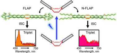 Graphical abstract: Triplet conformation in chromophore-fused cyclooctatetraene dyes