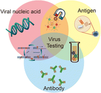 Graphical abstract: Advances in rapid point-of-care virus testing