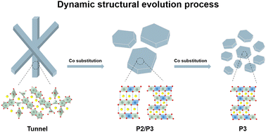 Graphical abstract: Insights into dynamic structural evolution and its sodium storage mechanisms of P2/P3 composite cathode materials for sodium-ion batteries