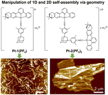 Graphical abstract: Manipulation of 1D and 2D self-assembly via geometry modulation of adamantane isocyanide Pt(ii) complexes
