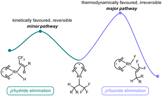 Graphical abstract: The rhodium riddle: computational insights into competitive β-hydride vs. β-fluoride elimination