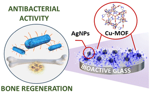 Graphical abstract: A new MOF@bioactive glass composite reinforced with silver nanoparticles – a new approach to designing antibacterial biomaterials
