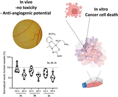 Graphical abstract: Effect of mono- and dinuclear thiosemicarbazone platinacycles in the proliferation of a colorectal carcinoma cell line
