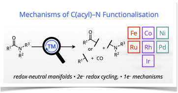 Graphical abstract: Mechanistic insights on C(acyl)–N functionalisation mediated by late transition metals