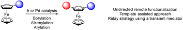 Graphical abstract: Recent advances in the remote catalytic functionalisation of ferrocenes