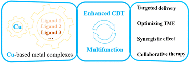 Graphical abstract: Recent advances in discrete Cu complexes for enhanced chemodynamic therapy