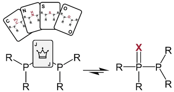 Graphical abstract: PPX/PXP-type ligands (X = O and S) and their transition metal complexes: synthesis, properties and applications