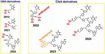 Graphical abstract: Chemistry of organometallic nucleic acid components: personal perspectives and prospects for the future