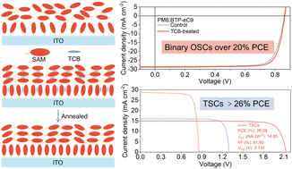Graphical abstract: From 20% single-junction organic photovoltaics to 26% perovskite/organic tandem solar cells: self-assembled hole transport molecules matter