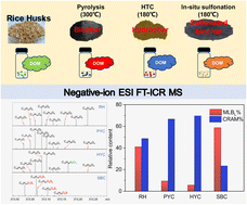 Graphical abstract: Molecular characteristics of organic matter derived from sulfonated biochar