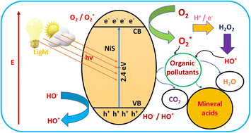 Graphical abstract: Nanocosmos of catalysis: a voyage through synthesis, properties, and enhanced photocatalytic degradation in nickel sulfide nanocomposites