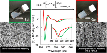 Graphical abstract: Nanofibrous chiral supramolecular assembly-derived self-healing hydrogels with polyethylene glycol