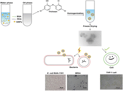 Graphical abstract: Improving the aqueous solubility and antibacterial activity of triclosan using re-dispersible emulsion powder stabilized with gold nanoparticles