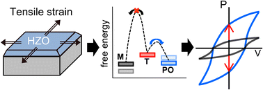 Graphical abstract: Theoretical understanding of the in-plane tensile strain effects on enhancing the ferroelectric performance of Hf0.5Zr0.5O2 and ZrO2 thin films