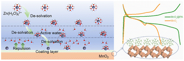 Graphical abstract: Tunable Zn2+ de-solvation behavior in MnO2 cathodes via self-assembled phytic acid monolayers for stable aqueous Zn-ion batteries