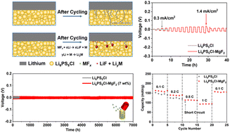 Graphical abstract: In situ conversion reaction of magnesium fluoride to boost the performance of the sulfide-based electrolyte Li6PS5Cl for all-solid-state lithium metal batteries