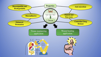 Graphical abstract: Chitosan alchemy: transforming tissue engineering and wound healing