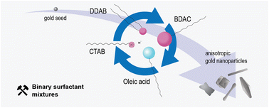 Graphical abstract: Synthesis of anisotropic gold nanoparticles in binary surfactant mixtures: a review on mechanisms of particle formation