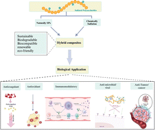 Graphical abstract: Sustainable and biocompatible hybrid materials-based sulfated polysaccharides for biomedical applications: a review
