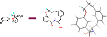 Graphical abstract: The effect of gem-difluorination on the conformation and properties of a model macrocyclic system