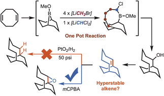 Graphical abstract: Hyperstable alkenes: are they remarkably unreactive?