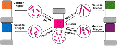 Graphical abstract: Methods of changing low molecular weight gel properties through gelation kinetics